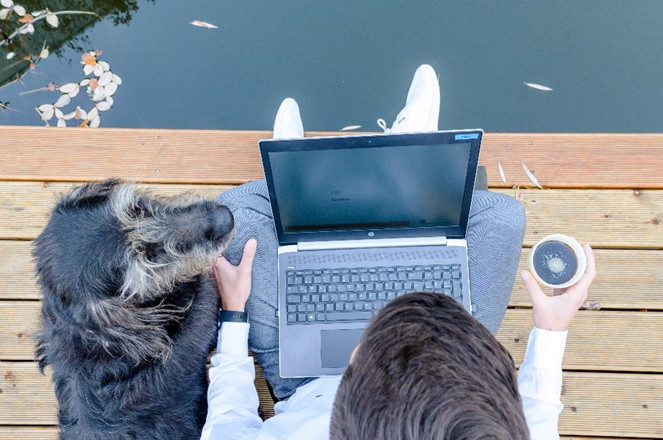 Person sitzt an See mit Hund und arbeitet | LGI