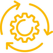 Process understanding Icon LGI